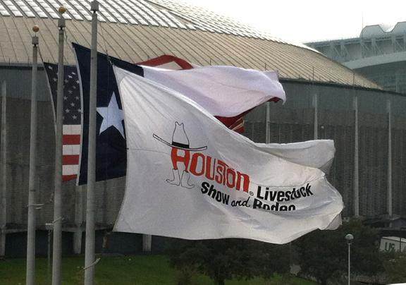 Houston Livestock Show & Rodeo flags