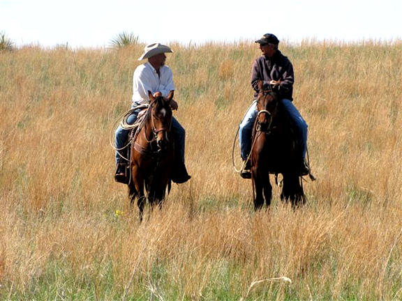 Men on horseback