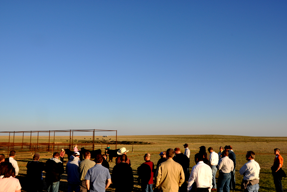 Blue sky on the ranch in Amarillo