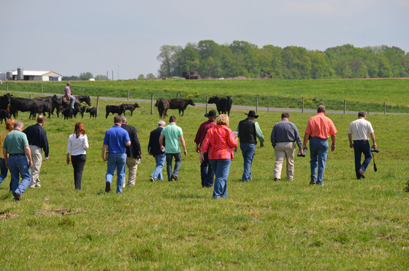 Pasture walk on Angus Farm