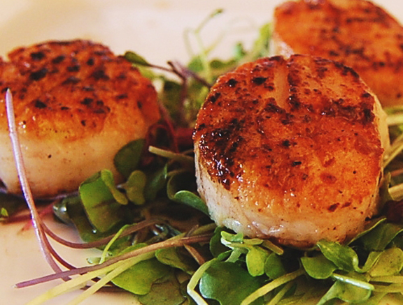 seared scallops