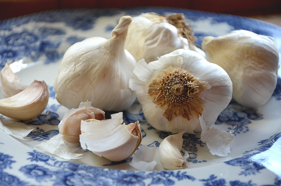 garlic on a blue transferware plate