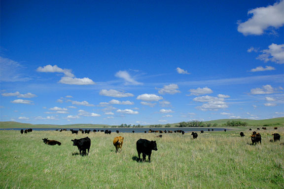 Earth Day on the Ranch