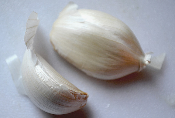 garlic