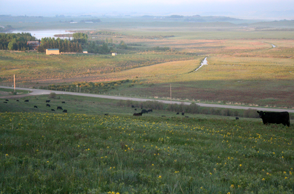 Calgary ranch