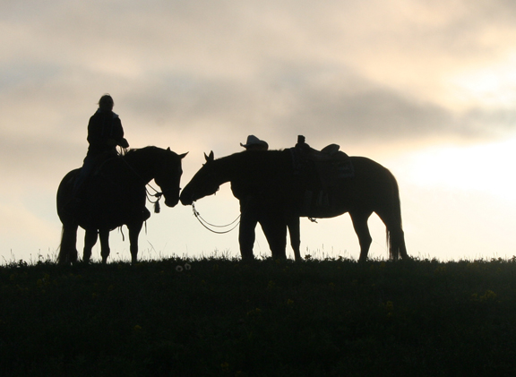 Calgary ranch at dawn