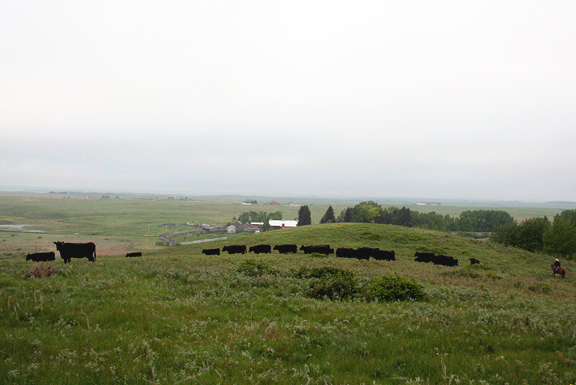 Ranch in Calgary, Alberta