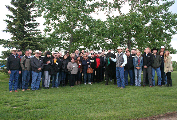 Group with bull