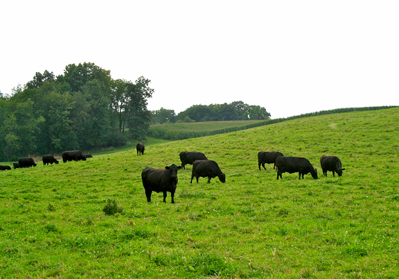 Atterholt farm