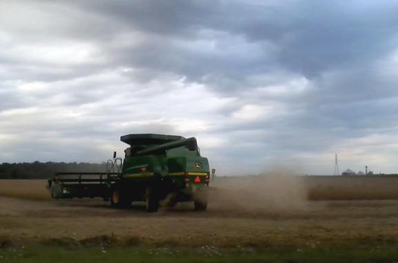 Combine harvesting grain