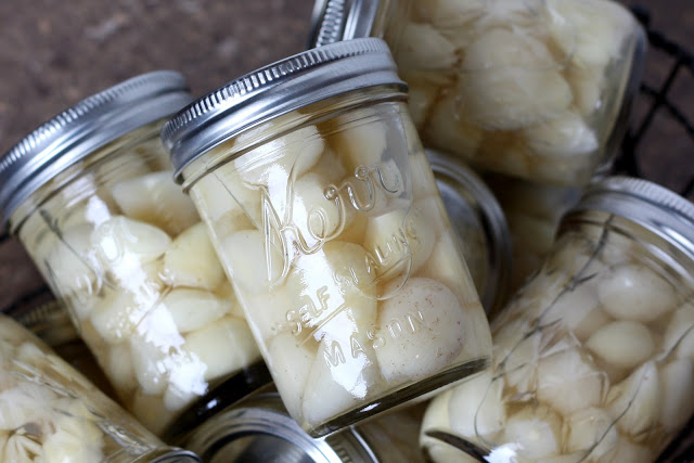 Preserve garlic from BarefeetIntheKitchen.com