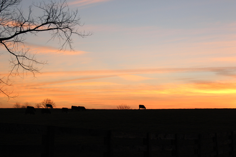 Charlie Boyd farm in Kentucky