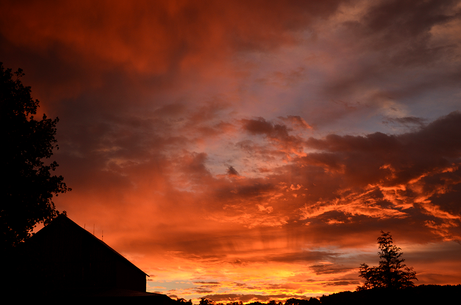 Sunrise at Tuckaway Farm - photo courtesy Jennifer Kiko, FarmgirlFollies.com